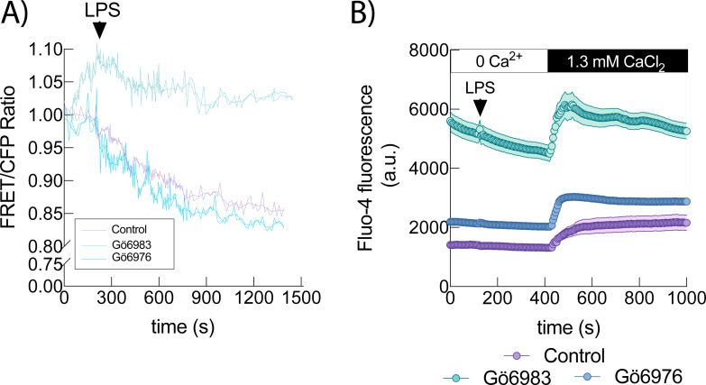 Figure 3