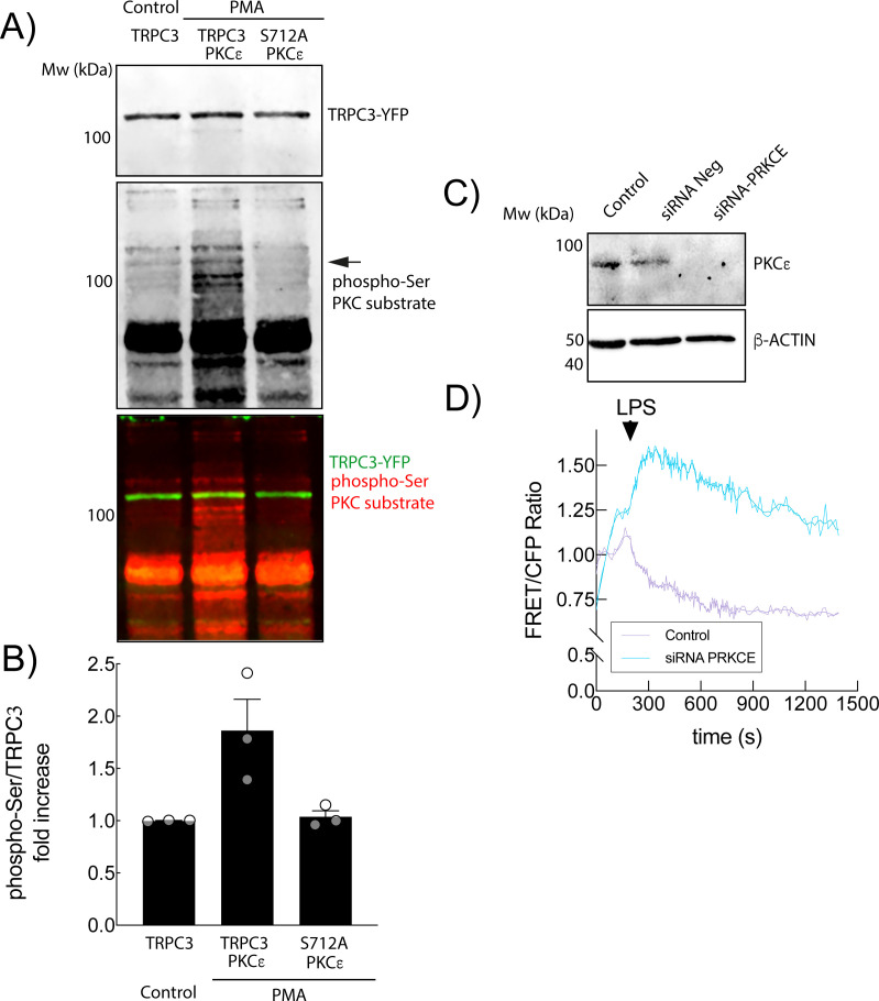 Figure 4
