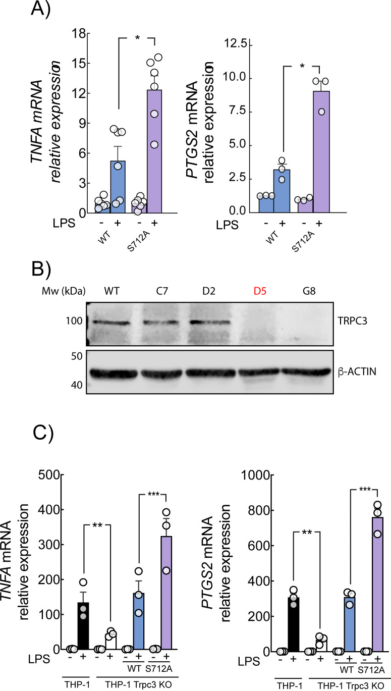 Figure 6