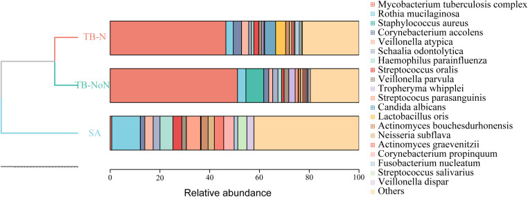 Figure 5