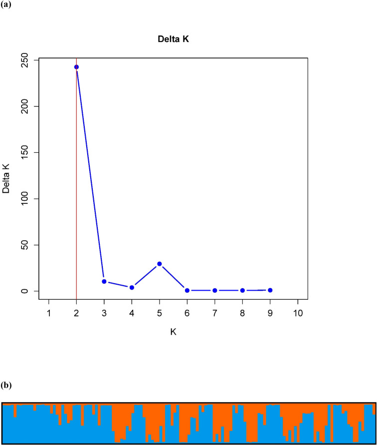 Figure 2