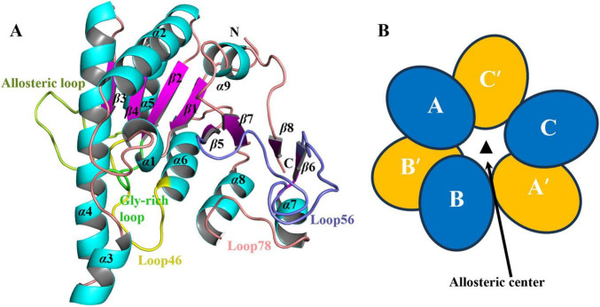 FIGURE 2