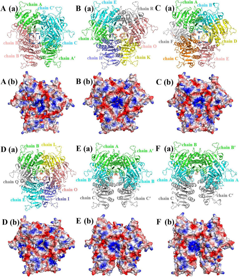 FIGURE 3
