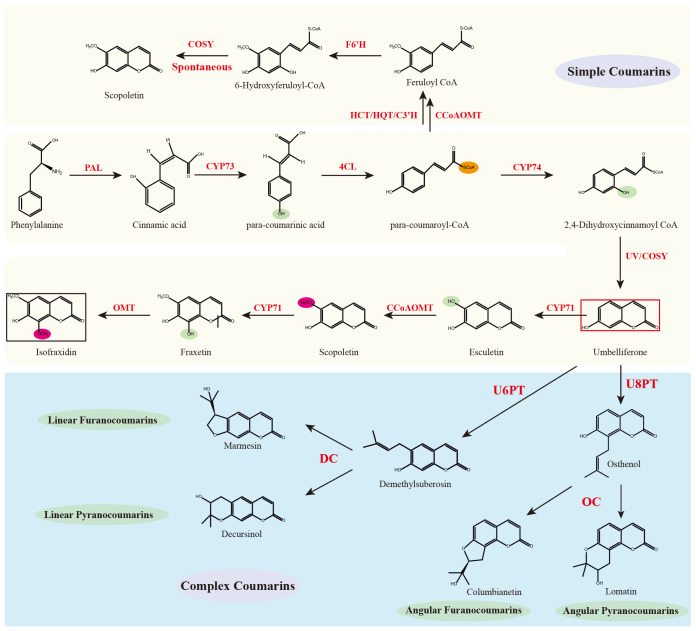 Figure 3