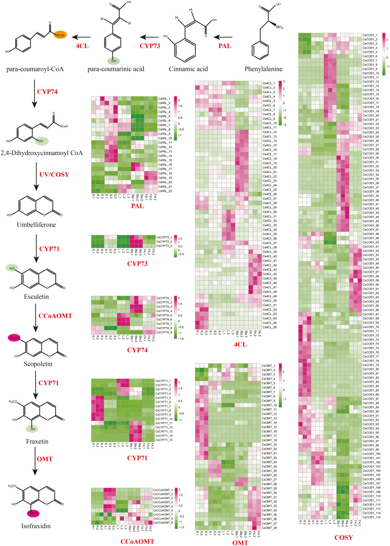 Figure 4