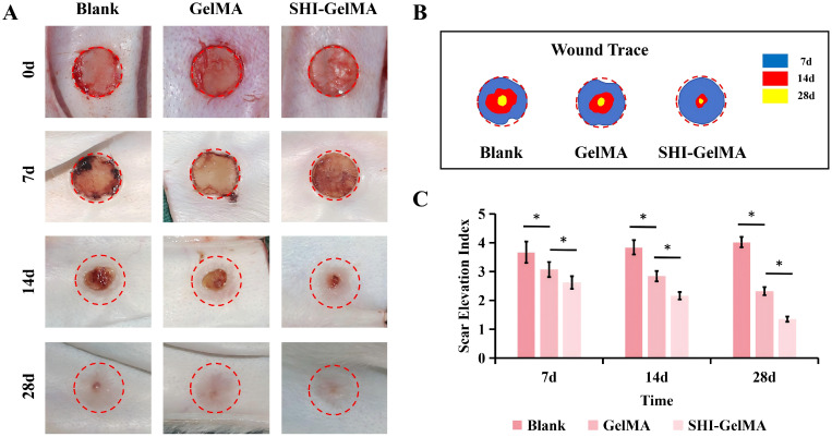 Figure 4