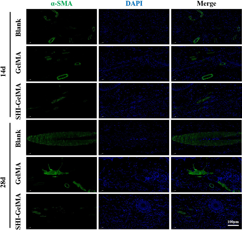 Figure 7