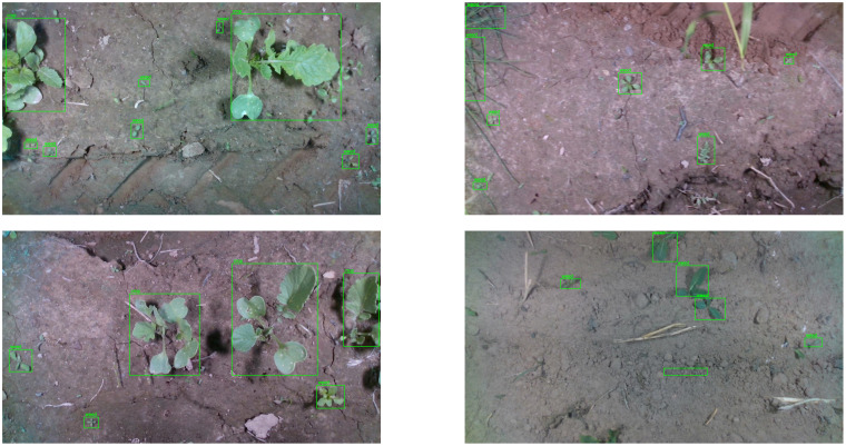 Figure 15