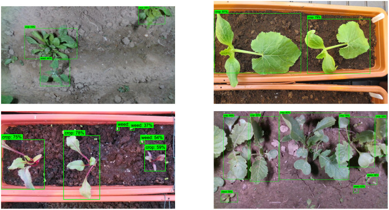 Figure 16