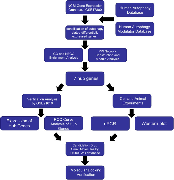 Figure 1