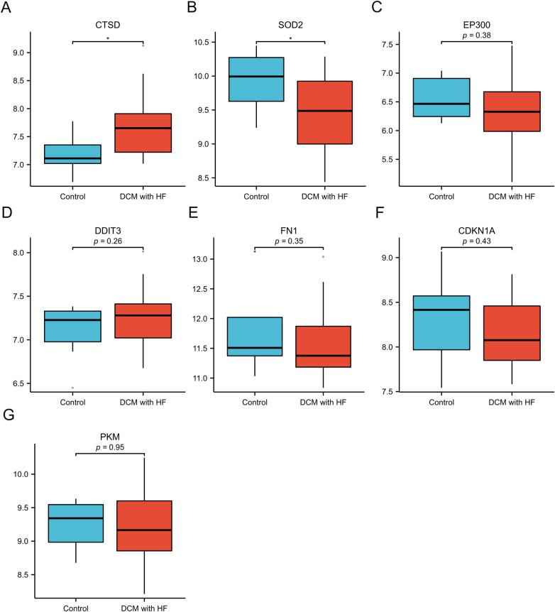 Figure 6