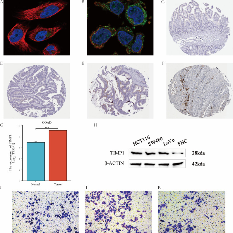 Figure 11