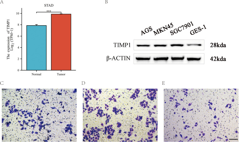 Figure 12
