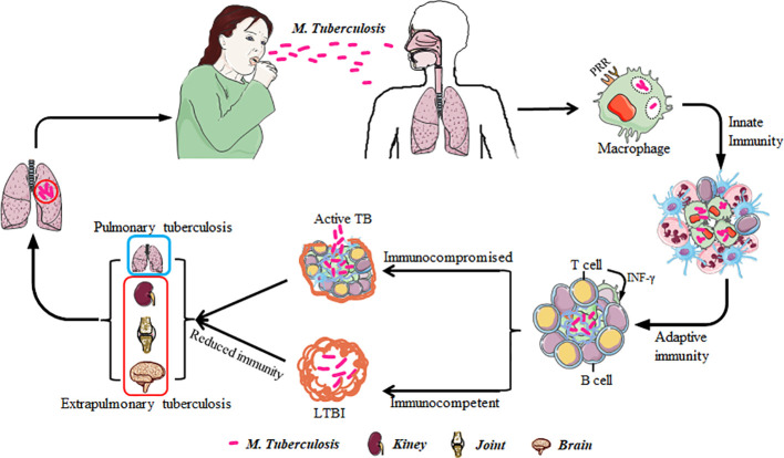 Figure 1