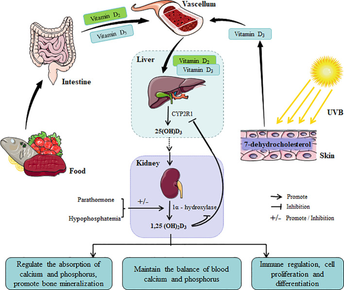 Figure 2