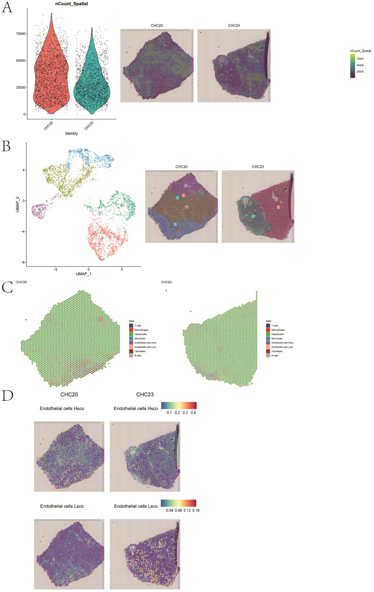 Figure 11
