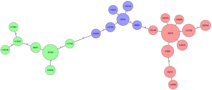 FIGURE 3