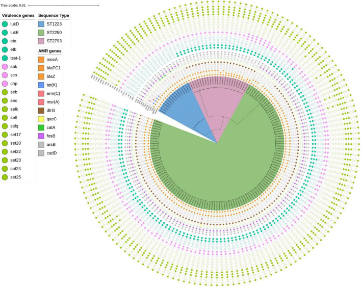 FIGURE 4