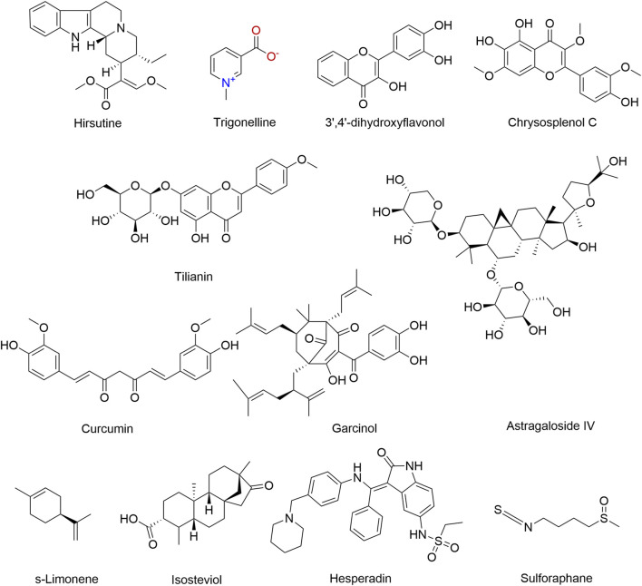FIGURE 4