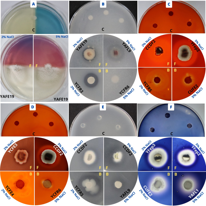 Figure 3