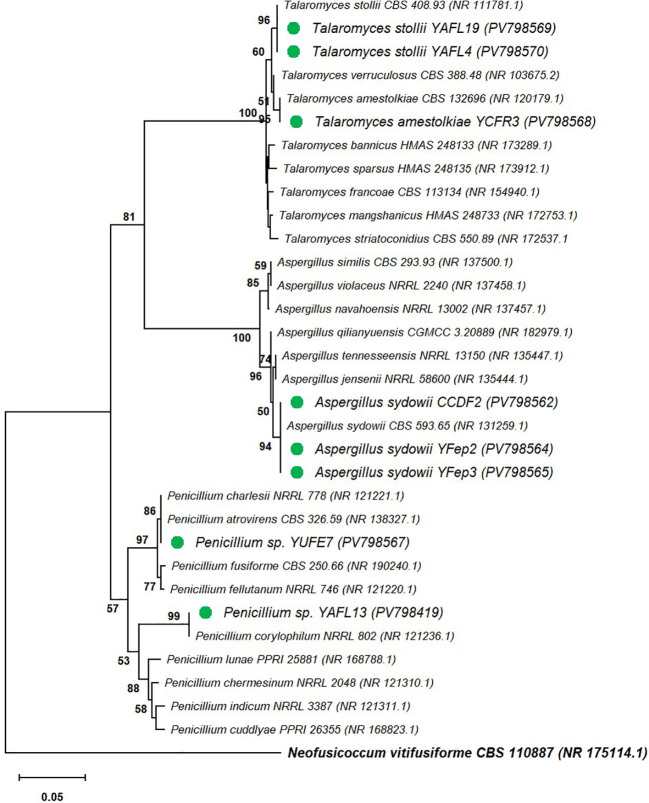 Figure 4