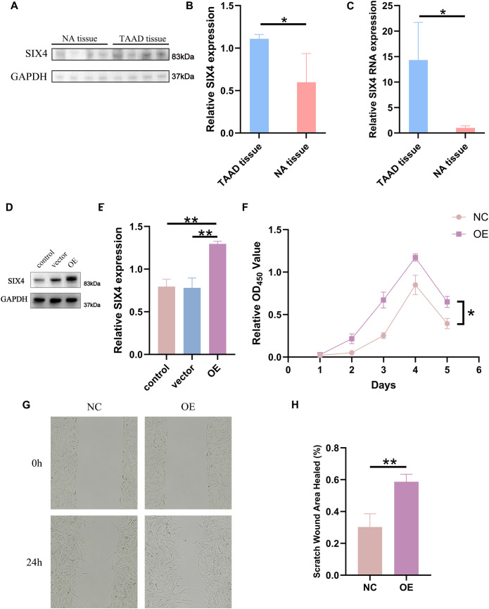 Figure 6