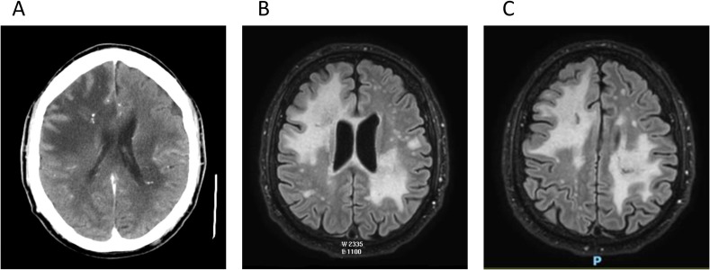 Figure 1