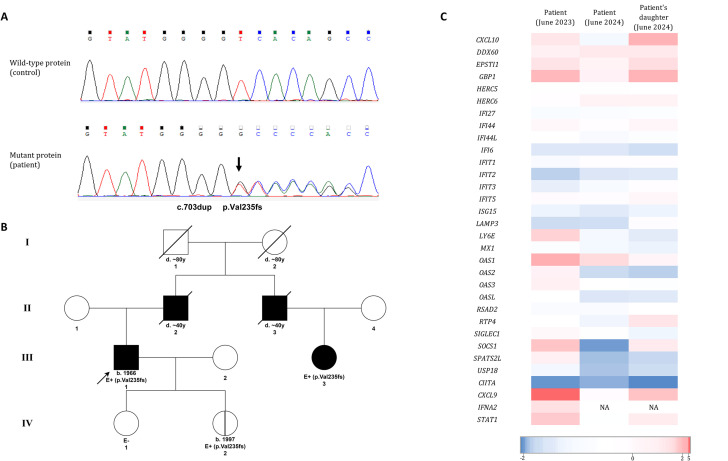 Figure 3