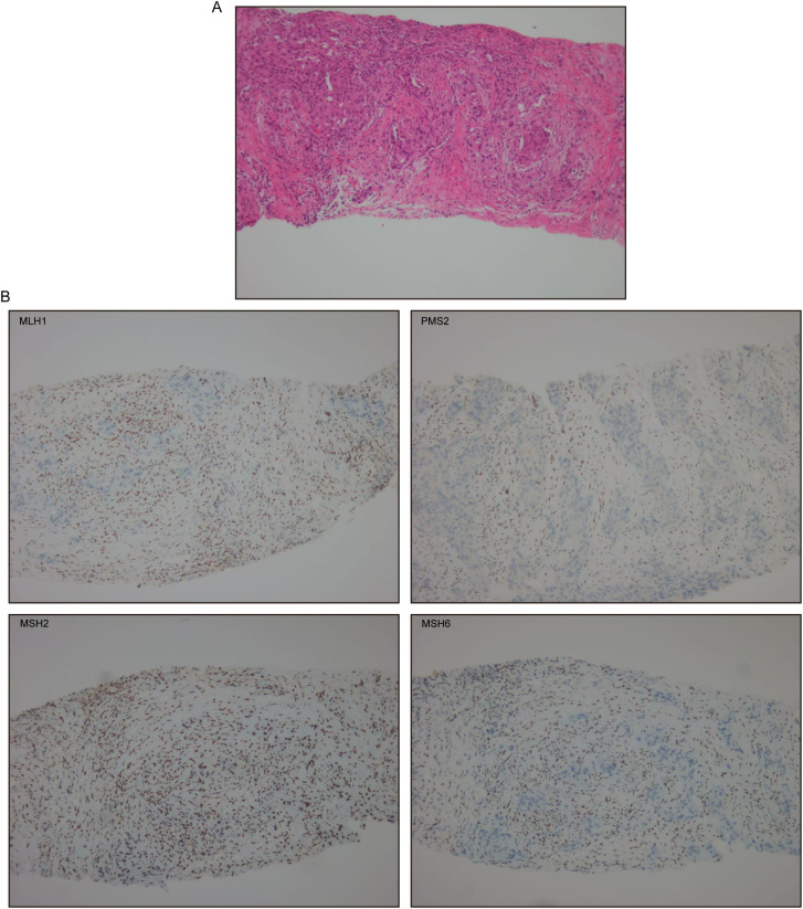 Figure 2