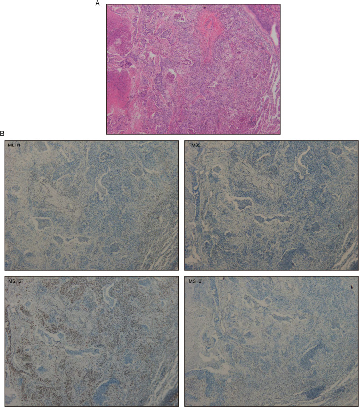 Figure 3
