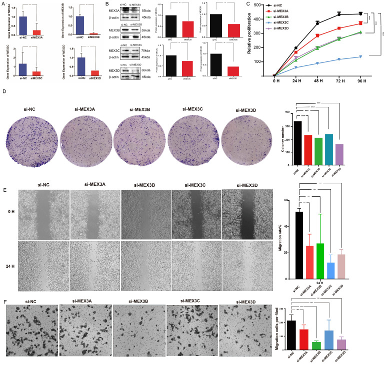 Figure 12