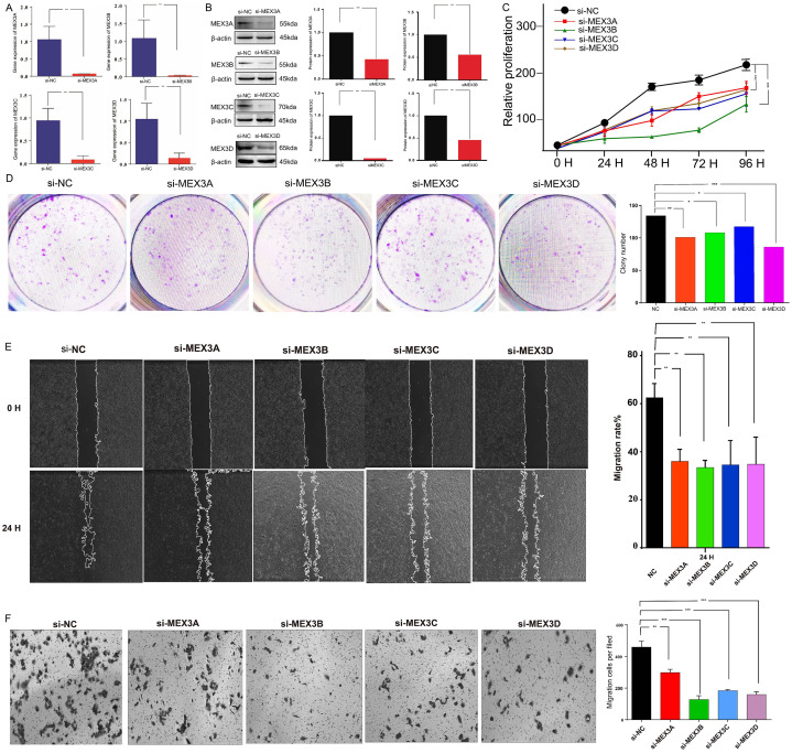 Figure 13