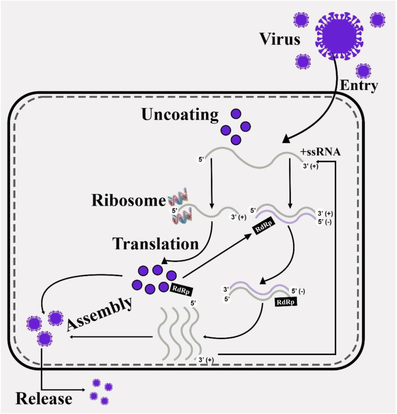 Figure 1