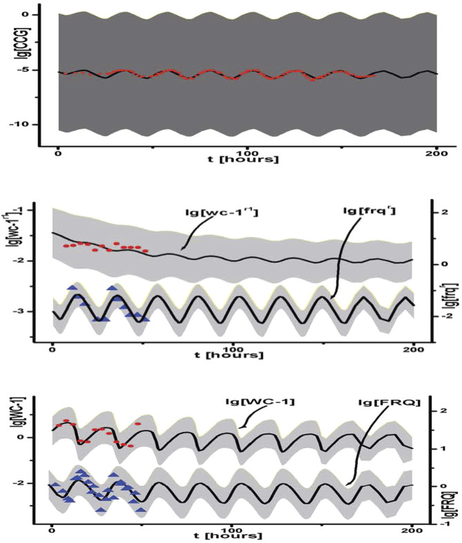 FIGURE 13