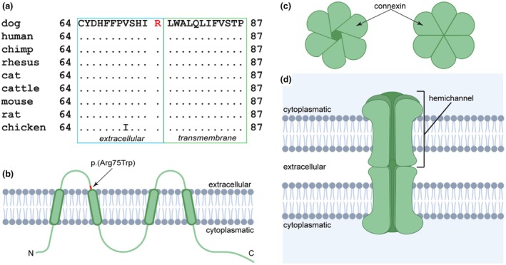 FIGURE 4