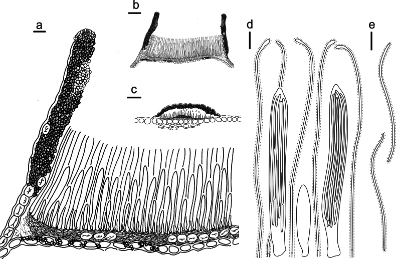 Figure 15