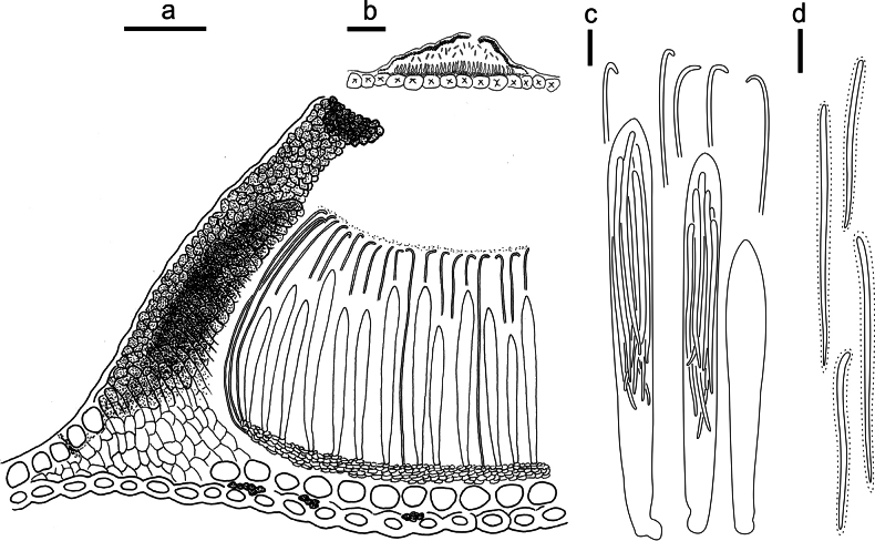 Figure 17