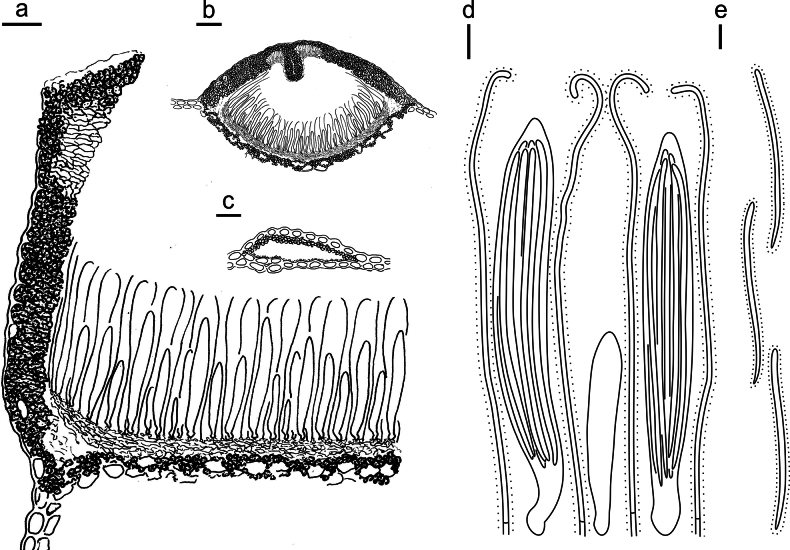 Figure 19