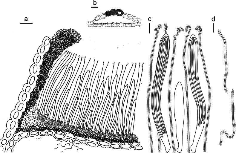 Figure 21