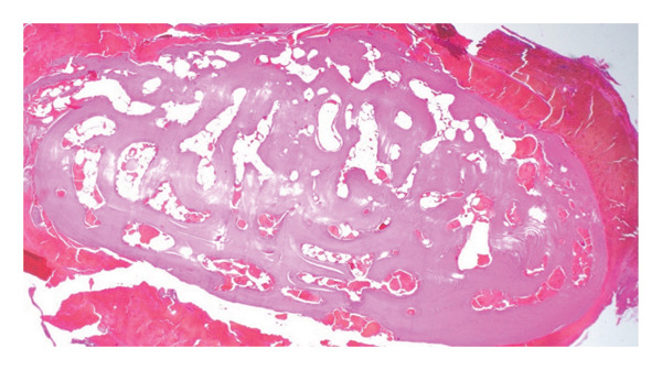 Figure FIGURE 5