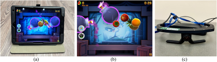 FIGURE 1