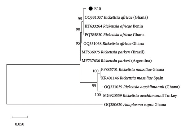Figure FIGURE 2