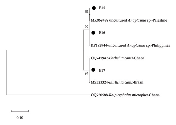Figure FIGURE 1