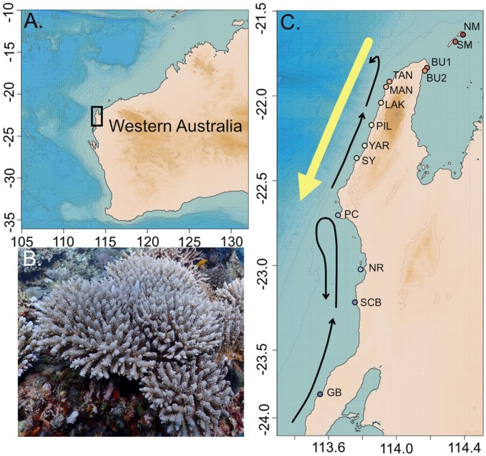 FIGURE 1