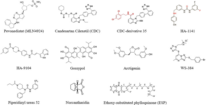 Figure 5