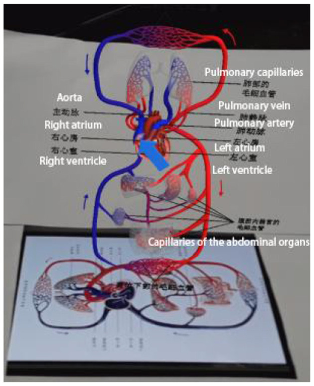 Figure 6