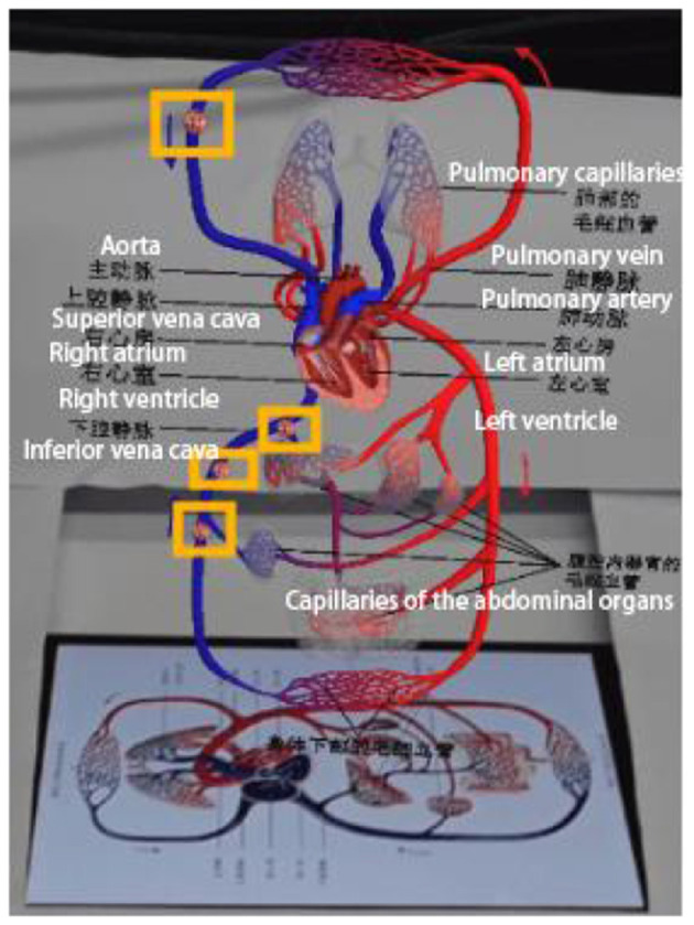 Figure 7