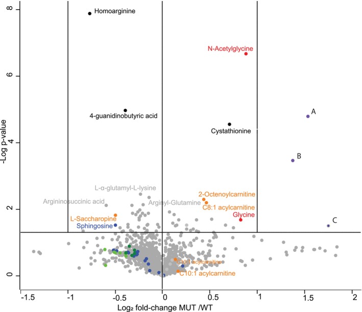 FIGURE 1