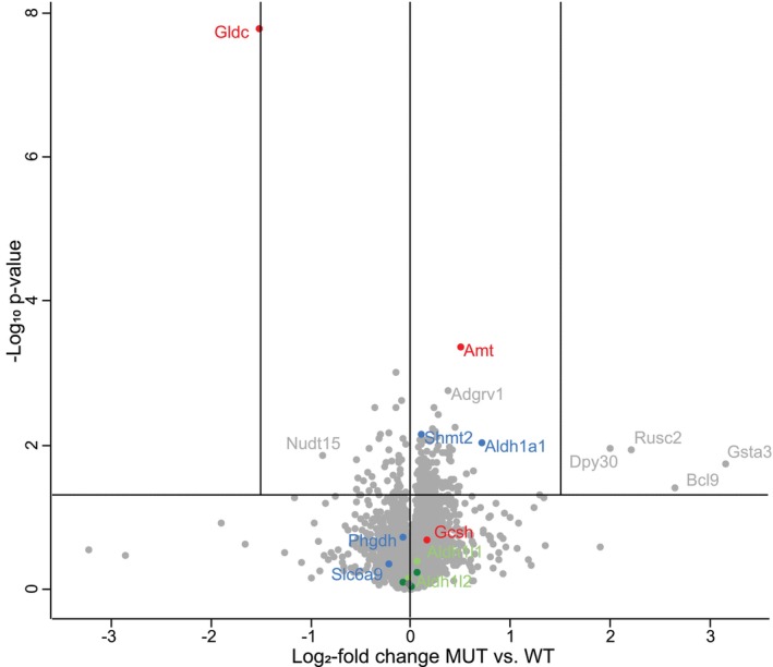 FIGURE 3