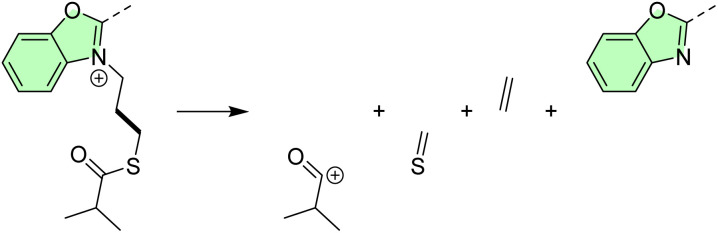 Scheme 2